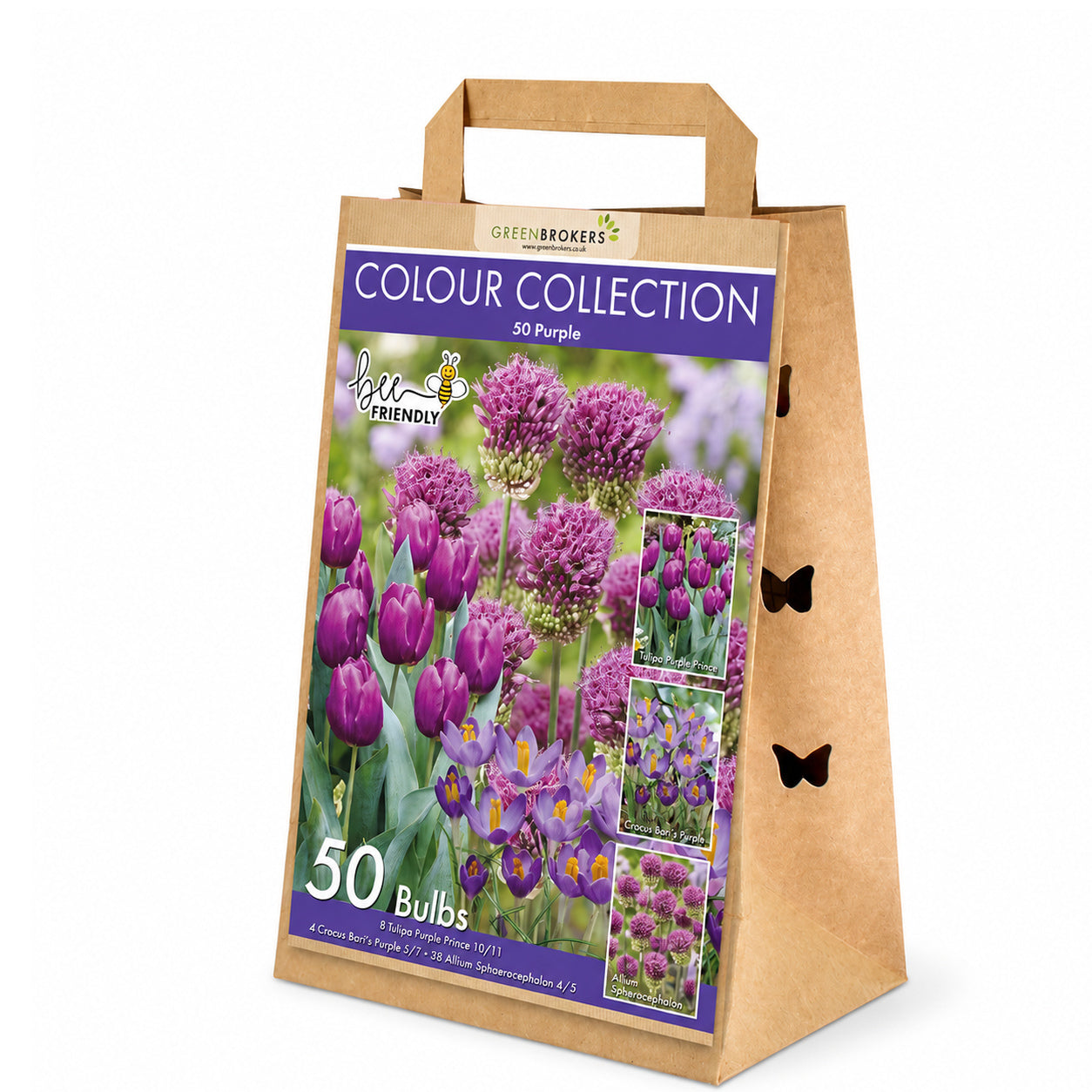 Purple Colour Collection – 50 Dutch Bulbs - B1215