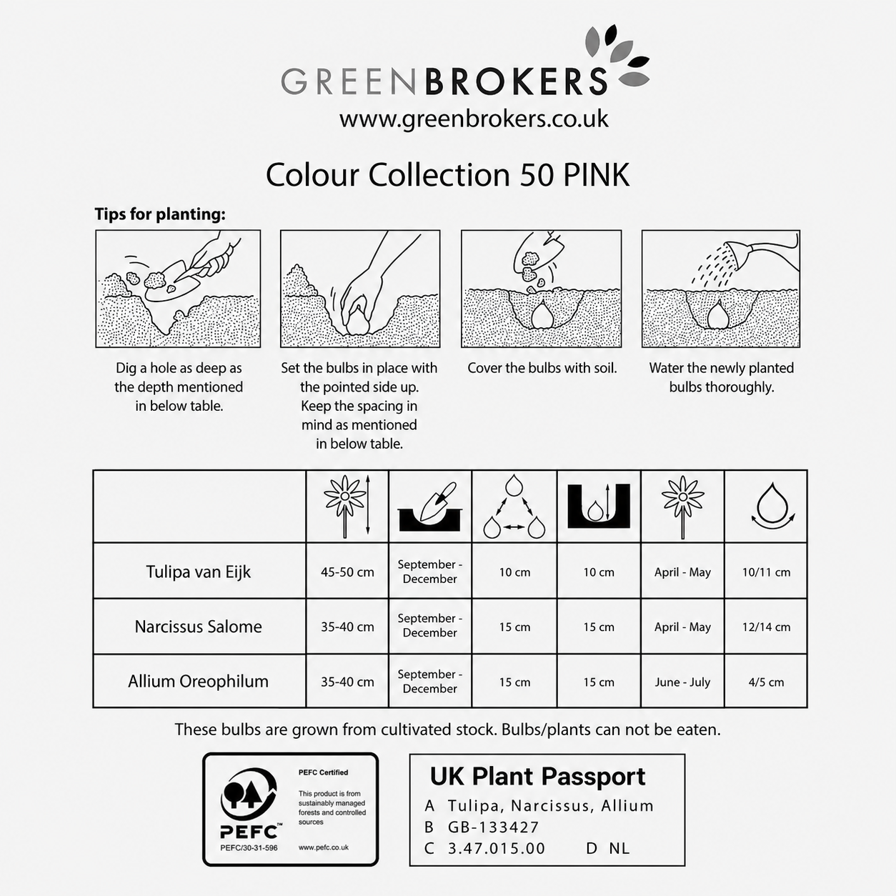 Pink Colour Collection – 50 Dutch Bulbs - B1216