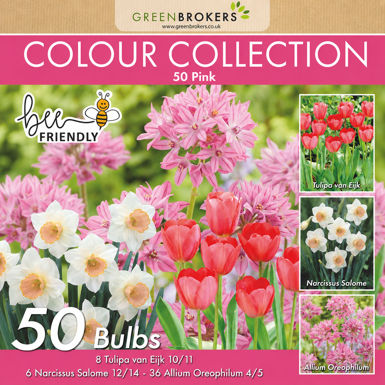 Pink Colour Collection – 50 Dutch Bulbs - B1216