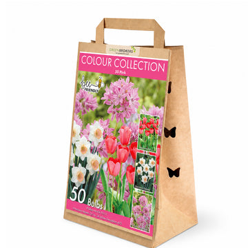 Pink Colour Collection – 50 Dutch Bulbs - B1216