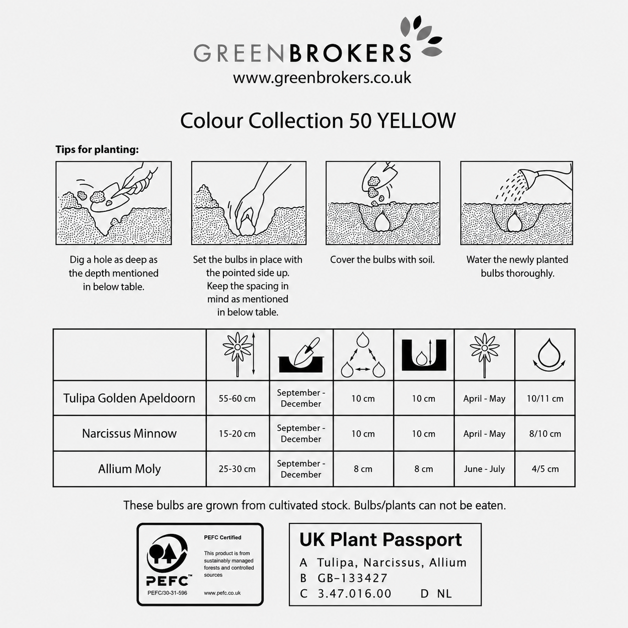 Yellow Colour Collection – 50 Dutch Bulbs - B1217