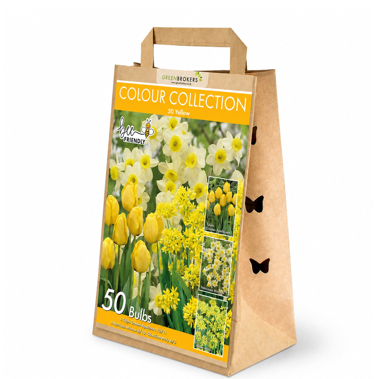 Yellow Colour Collection – 50 Dutch Bulbs - B1217