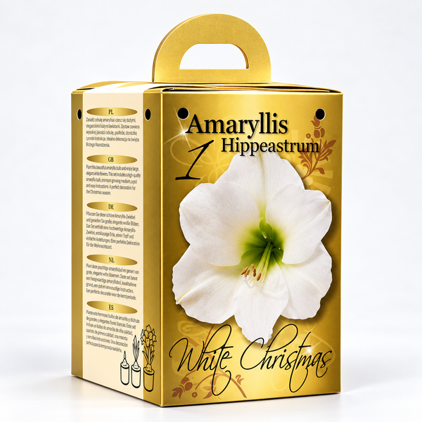 White Amaryllis Gift Kit – Bulb, Pot & Compost B1224