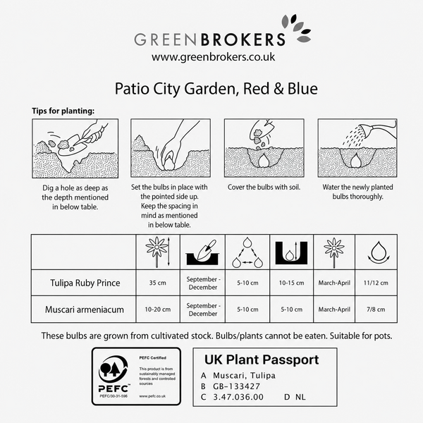 Red & Blue Spring Balcony and Patio Planter Mix – 40 Bulbs - B1315