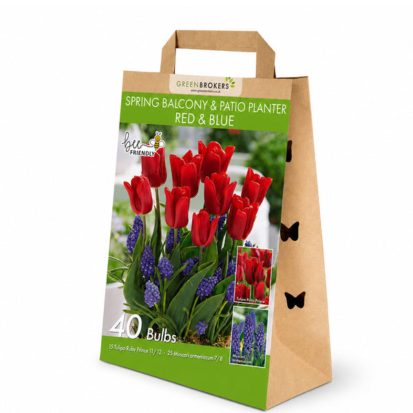 Red & Blue Spring Balcony and Patio Planter Mix – 40 Bulbs - B1315