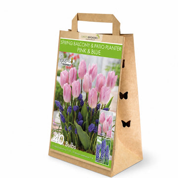 GreenBrokers Balcony and Patio Planter Bulb Mix – 40 Pink & Blue Bulbs B1322