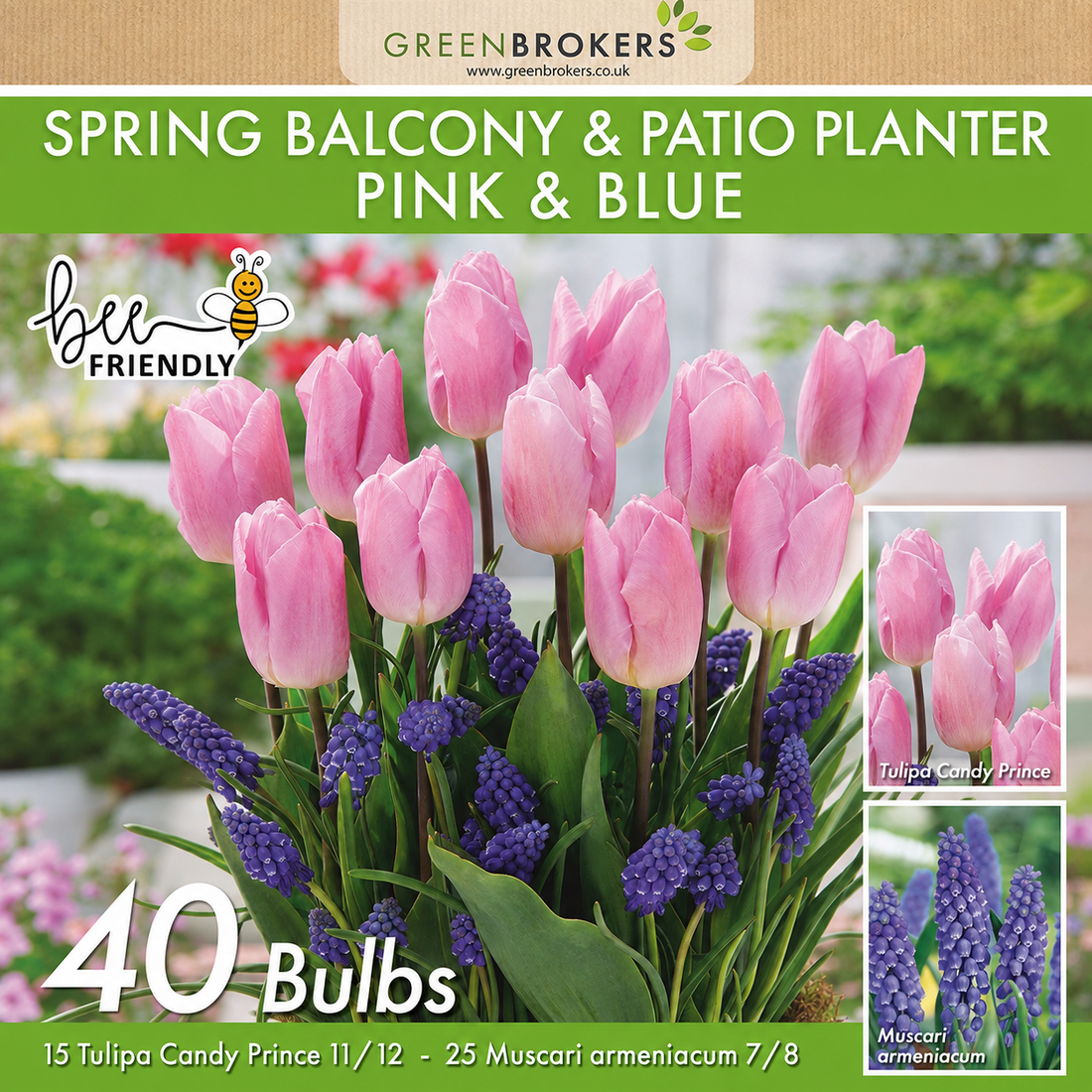 GreenBrokers Balcony and Patio Planter Bulb Mix – 40 Pink & Blue Bulbs B1322