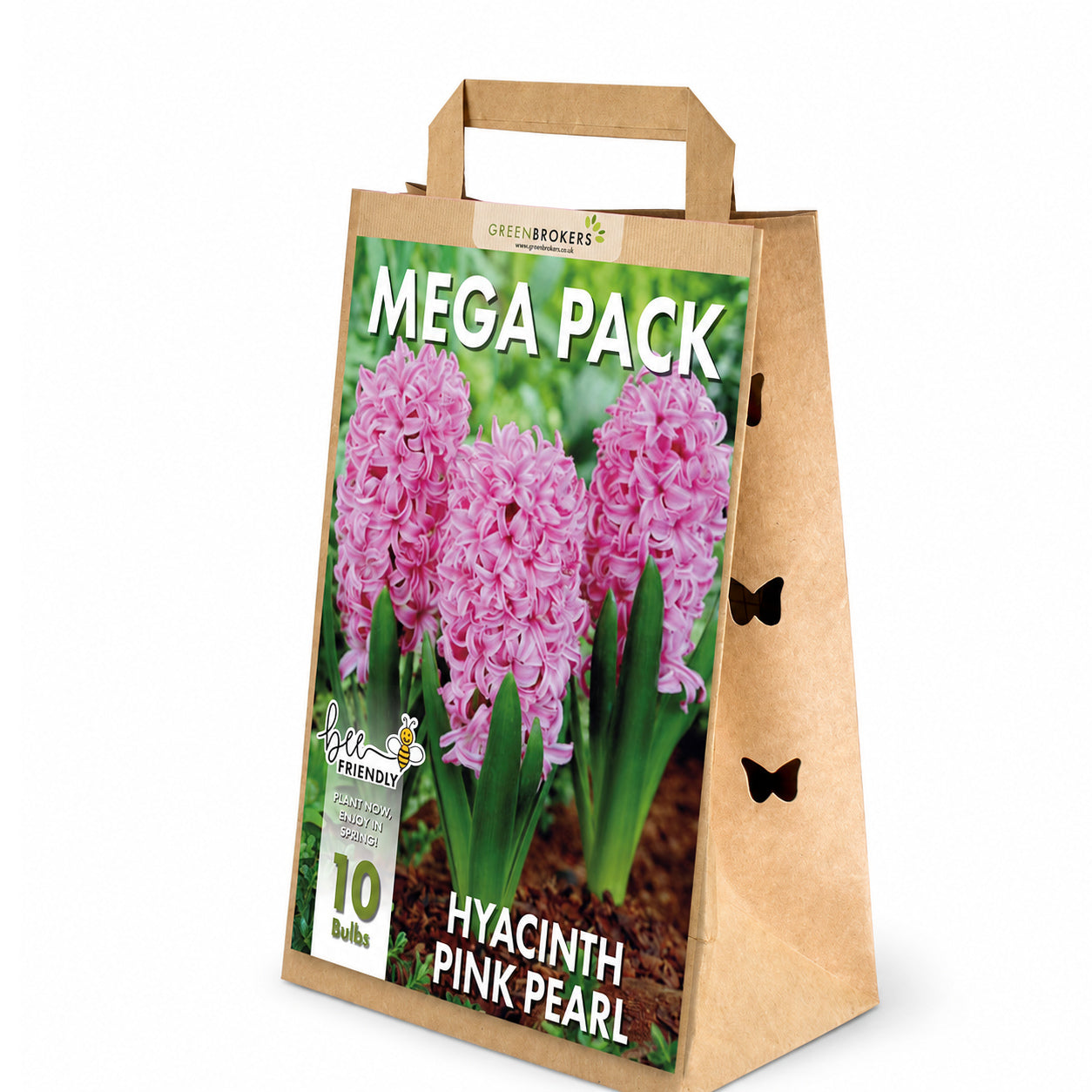 Pink Pearl Hyacinth Bulbs – 10 Dutch Bulbs - B1376