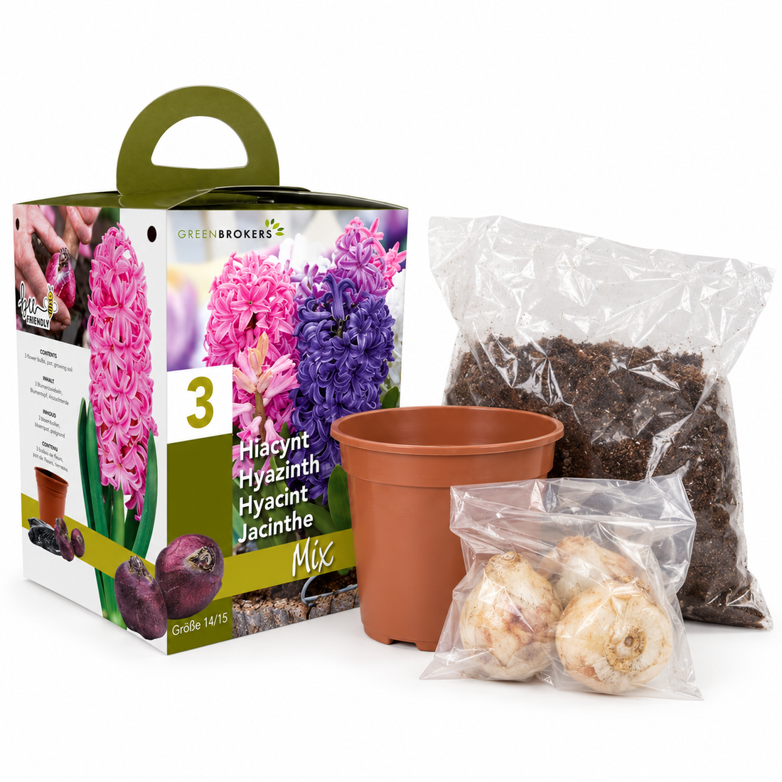 Hyacinth Gift Box – 3 Mixed Bulbs, Pot & Compost, Bee-Friendly B1378