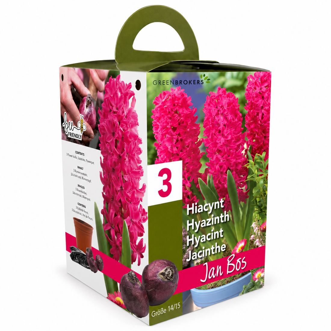 Pink Hyacinth Gift Box – Jan Bos (3 Bulbs),  Pot & Compost B1380