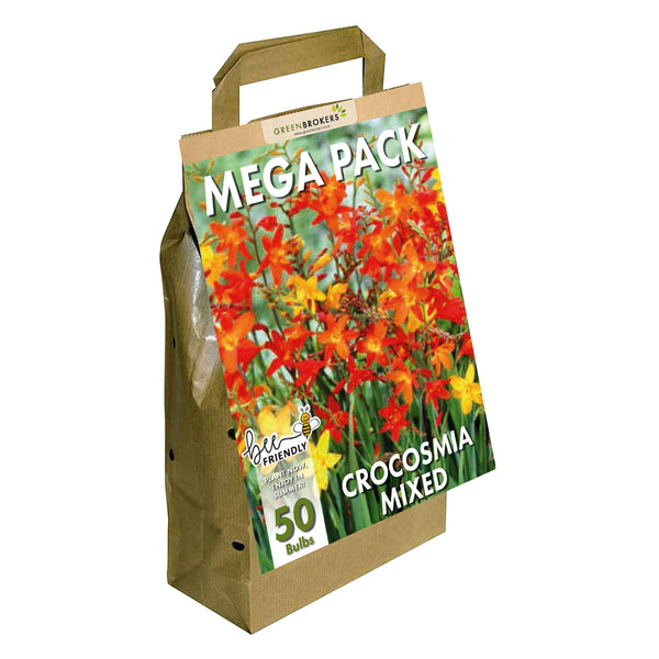 Big Buy MEGA Pack Crocosmia Summer Flowering Bulbs, Mixed Colours (50 Bulbs) Bee & Butterfly Friendly - B1410-GB