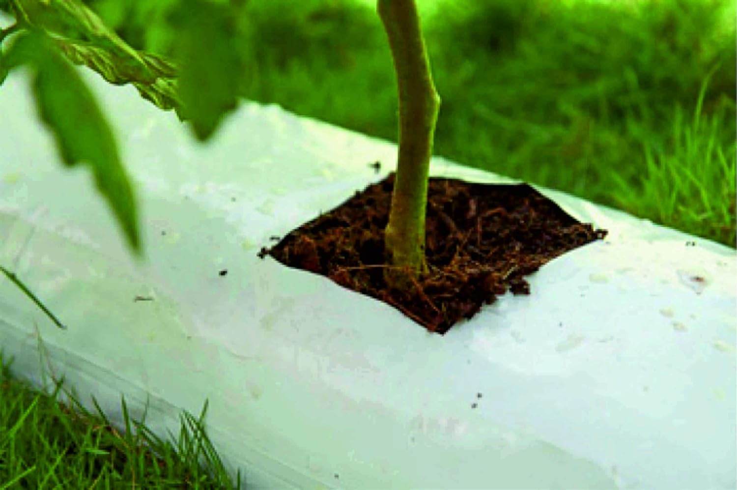Organic Purpose Potting Compost Grow Bag Expands to 30Ltr - C1162