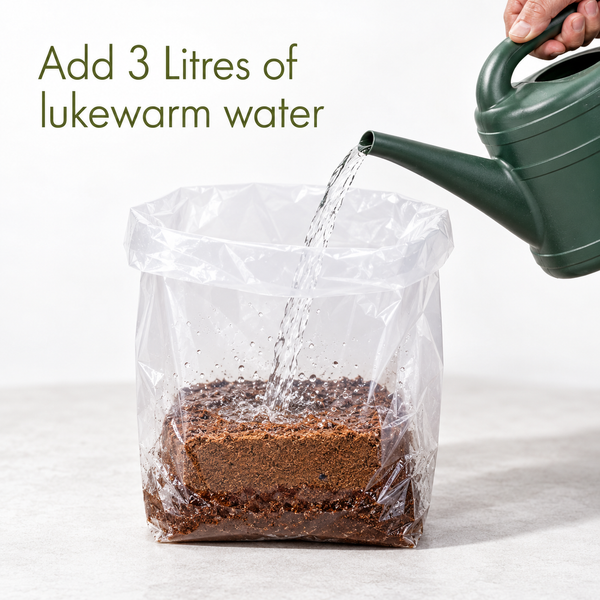 24 Packs Organic All Purpose Potting Compost Expands to 10 Litres - C1452
