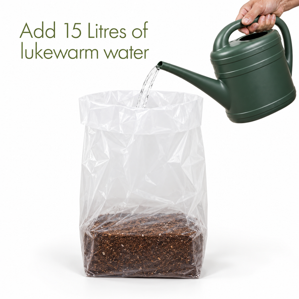 8 Packs Organic All Purpose Potting Compost Expands to 40 Litres - C1453