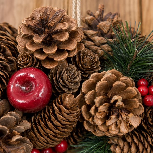 GreenBrokers Christmas Hanging Wreath 37cm Festive Pine Cones & Red Berries D1225