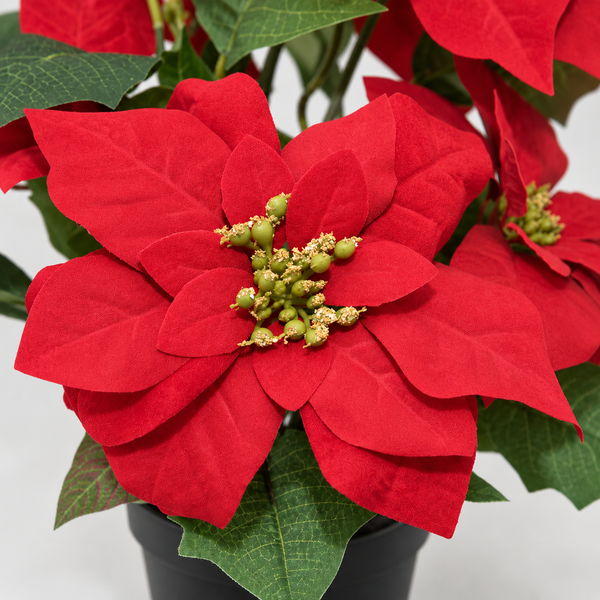 GreenBrokers Artificial Red Poinsettia Christmas Plant in Pot 46cm D1357