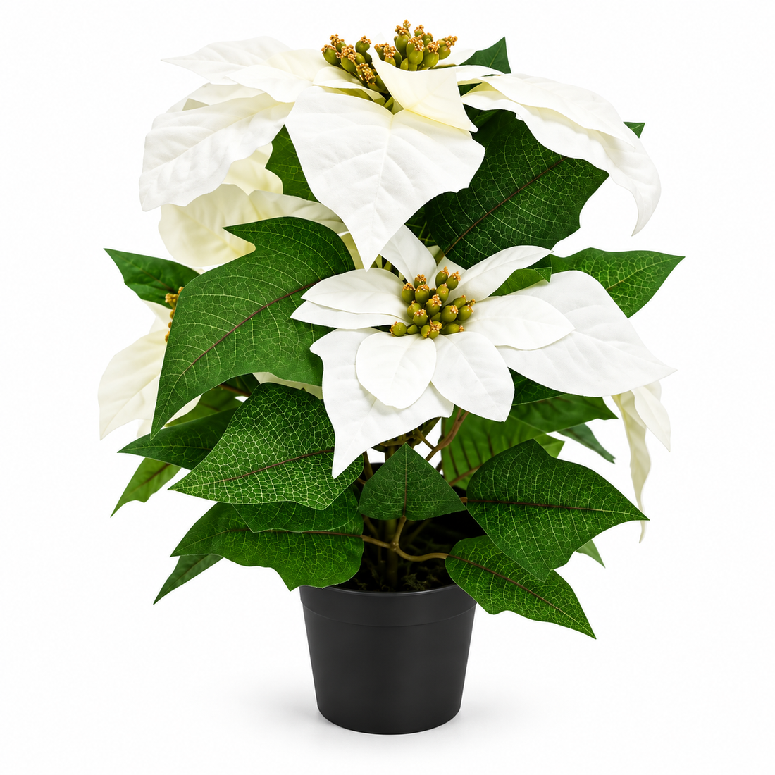 GreenBrokers Artificial White Poinsettia Christmas Plant in Pot 36cm D1400
