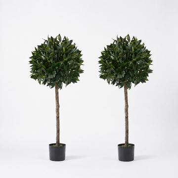 Bay Trees (Set of 2) 4ft/124 cm - With Real Wood Trunk, Natural Leaf and Brown Berries - A1002