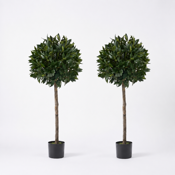 Bay Trees (Set of 2) 4ft/124 cm - With Real Wood Trunk, Natural Leaf and Brown Berries - A1002