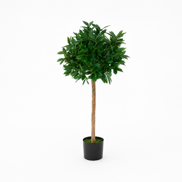 Bay Laurel Tree 4ft/120 cm - With Real Wood Trunk, Natural Leaf and Brown Berries - A1038