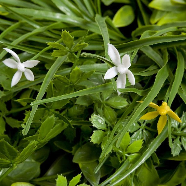 Artificial Premium Green Wall Hedge with Mixed Leaf Foliage Yellow &amp; White Flowers Pack of 4 x 50cm/20in - A1269