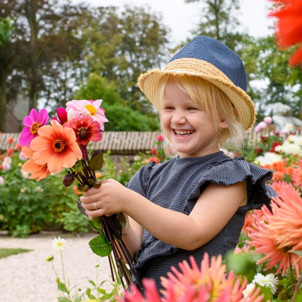 Big Buy Mega Summer Pack Mignon Dahlias Unwin Mixed (3 Bulbs) - B1172