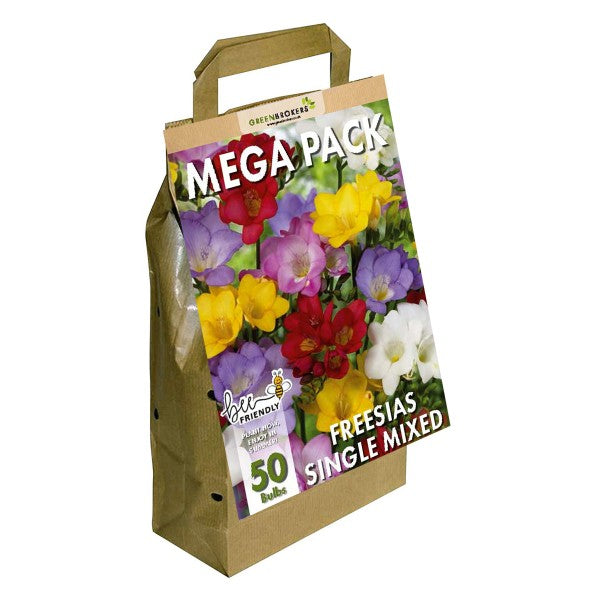 Big Buy MEGA Summer Pack Freesia Mixed Colours (50 Bulbs) - B1304