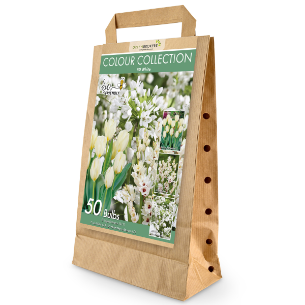 GreenBrokers White Colour Collection – 50 Dutch Bulbs, Bee-Friendly Mix B1214