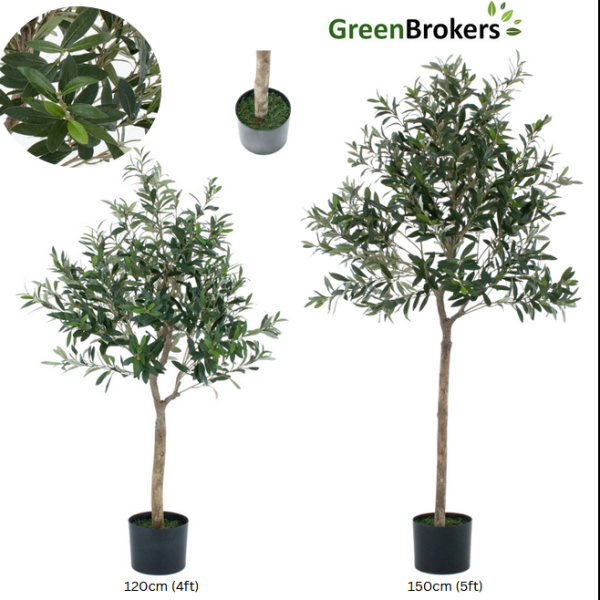 Artificial Olive Tree, Premium Quality Natural Appearance 5ft/150 cm - A1034