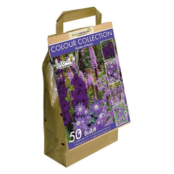 Purple Colour Collection Summer Flowering Bulbs (50 Bulbs) - B1308