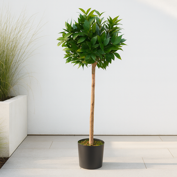 Artificial Laurel Tree With Real Wood Trunk, Natural Leaf and Brown Berries 4ft/120 cm - A1038
