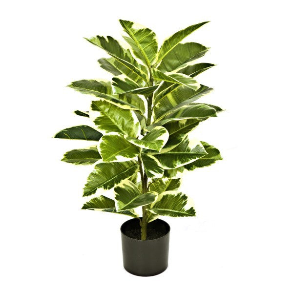Artificial Real Touch Rubber Plant in Pot 75cm/2ft - A1131