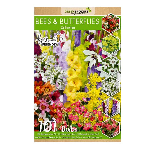 Bee and Butterfly Summer Collection Big Value Pack 6 Flowering Varieties Mixed Colour (101 Bulbs) - B1311