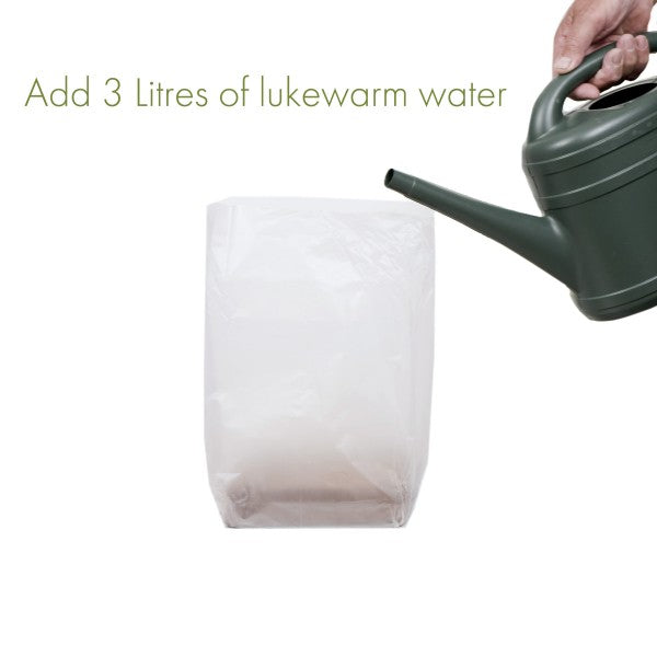 24 Packs Organic All Purpose Potting Compost Expands to 10 Litres