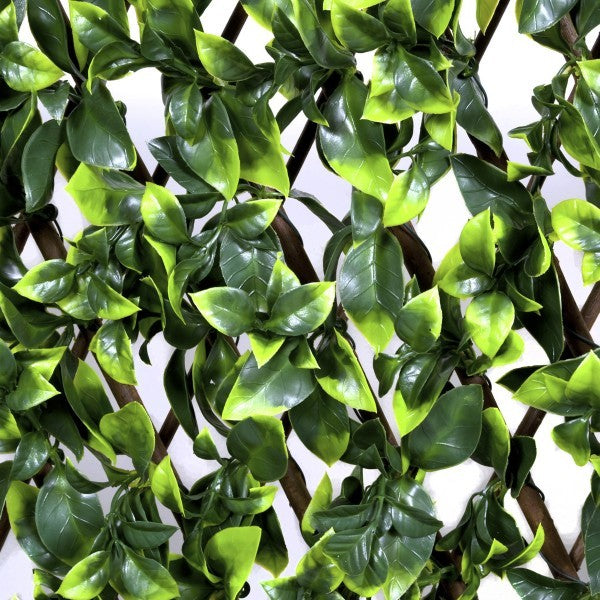  Artificial Expanding Green Wall Willow Trellis Fence with Variegated Green Leaf Foliage (1m x 2m) - A1148