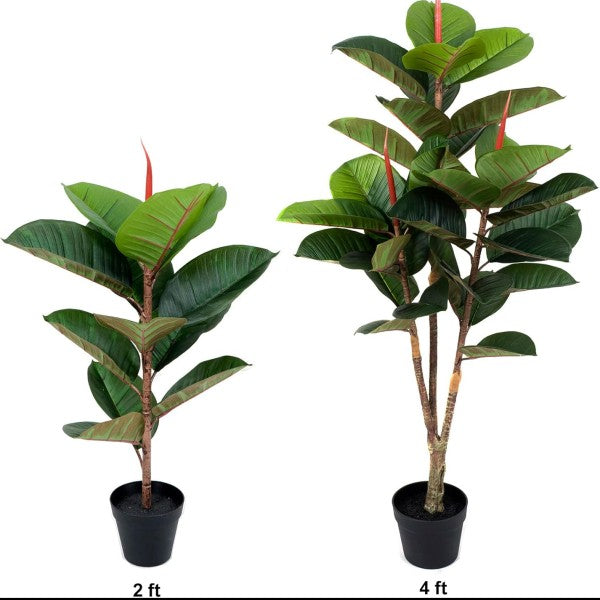 Artificial Real Touch Rubber Tree 4ft/120cm - A1364