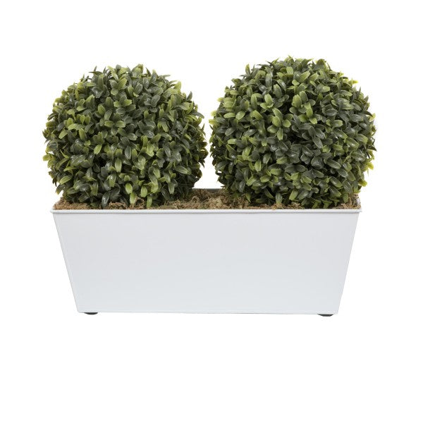 *Clearance* Artificial Topiary Double Ball Aglaia Boxwood in White Slanted Tin Window Box 35cm/14in - A1057C