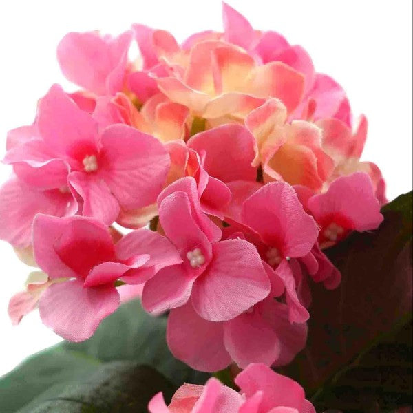 Artificial Pink Hydrangea in Black Pot 50cm/20in - A1355