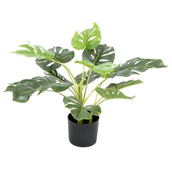 *Clearance* Artificial Tropical Monstera Tree in Black Pot 55cm/22in - A1292C