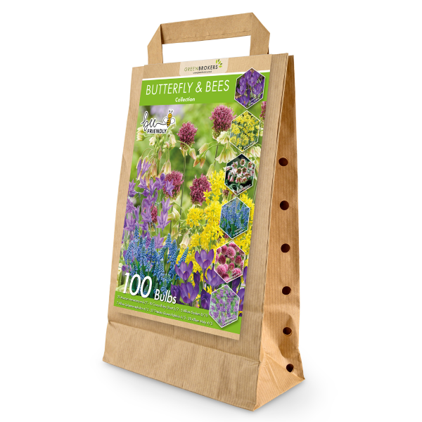 GreenBrokers Butterfly & Bee Bulb Collection Mix – 100 Dutch Spring Bulbs B1211