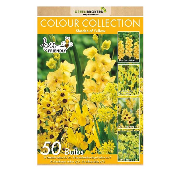 Yellow Colour Collection Summer Flowering Bulbs (50 Bulbs) - B1310