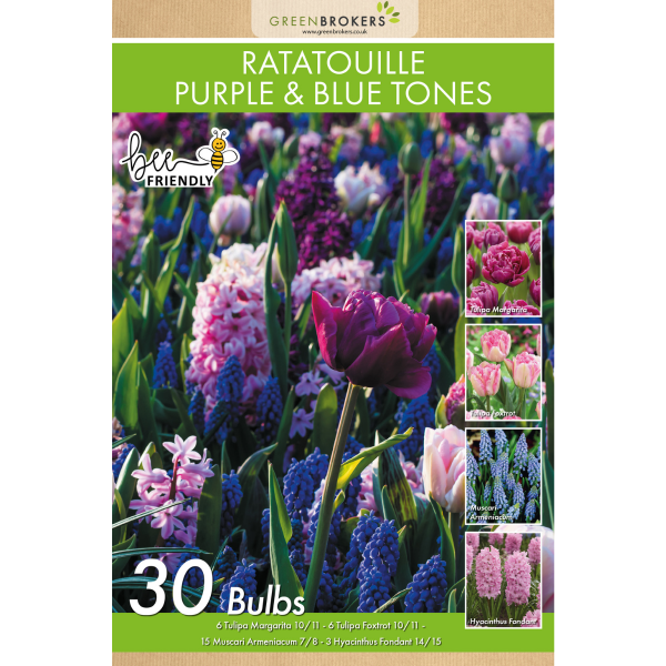 GreenBrokers Ratatouille Purple & Blue Tones Bulb Mix – 30 Dutch Bulbs B1174