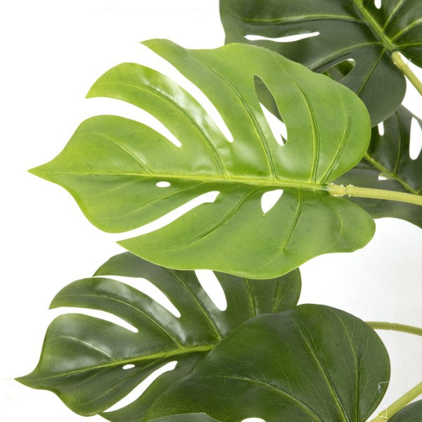 *Clearance* Artificial Tropical Monstera Tree in Black Pot 55cm/22in - A1292C