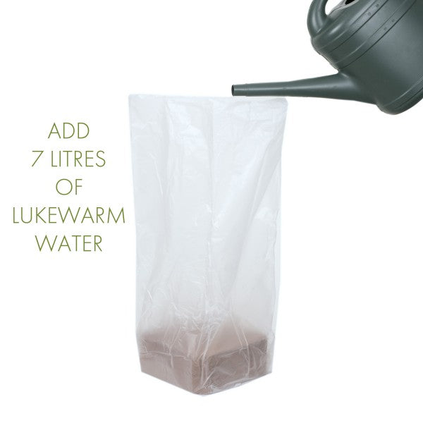 12 Packs Organic All Purpose Potting Compost Expands to 20L 