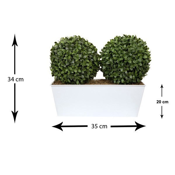 *Clearance* Artificial Topiary Double Ball Aglaia Boxwood in White Slanted Tin Window Box 35cm/14in - A1057C