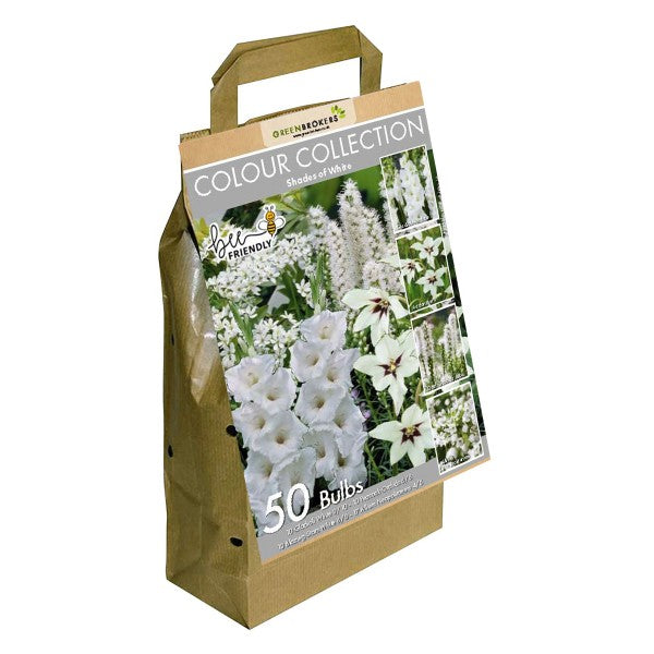 White Colour Collection Summer Flowering Bulbs (50 Bulbs) - B1307
