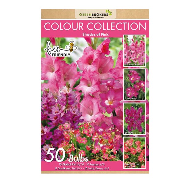 Pink Colour Collection Summer Flowering Bulbs (50 Bulbs) - B1309