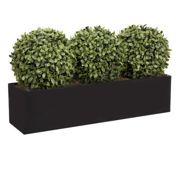 Artificial Topiary Triple Ball Aglaia Boxwood in Black Straight Tin Window Box 54cm/21in - A1067