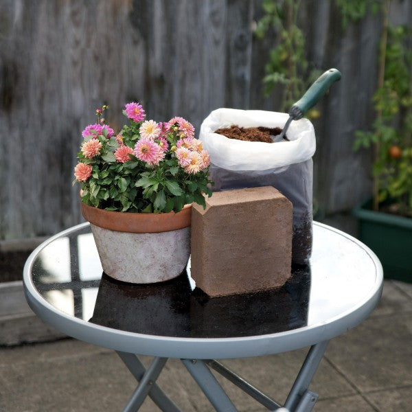12 Packs Organic All Purpose Potting Compost Expands to 20L 