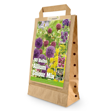 GreenBrokers Allium Bulb Collection – 50 Spring Dutch Bulbs, Bee-Friendly Mix B1218